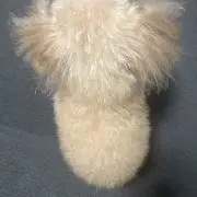 miiの画像