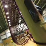 ほり悠の画像