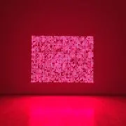 globalの画像