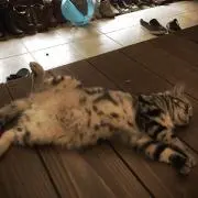 といち