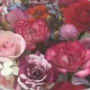 ジュリーの画像