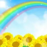 葵808　次の発送は19日(日)ですの画像