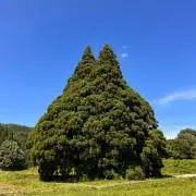 かわっちさんの画像