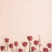 うた＊コメントなし.即購入OK♫の画像