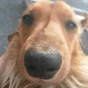 すうら