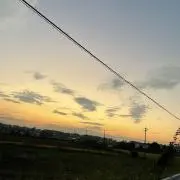 みかん