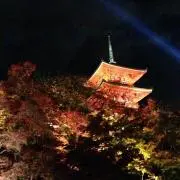 丸