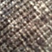 はたーの画像