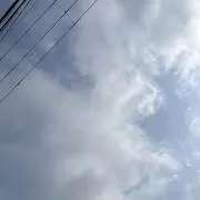 むーの画像
