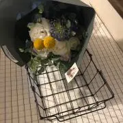 Ayaの画像