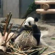 はまもと　[購入前にプロフお読みくださいの画像
