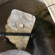 エリタクの画像