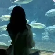 さく