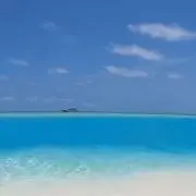Cahmd【プロフ必読お願いします】の画像