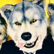 キム兄の画像