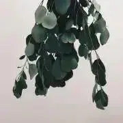 minの画像