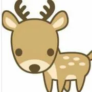 みっちーの画像