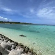 はるの画像