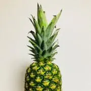 えじの画像