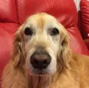 ミッキー♪♪プロフ必読❣️の画像