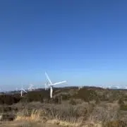 Tの画像