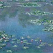 むーの画像