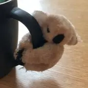 クラッキの画像