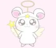 たんぽぽの画像