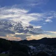 ゆきの画像