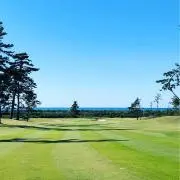 りょーちんの画像