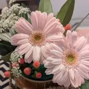 ir..の画像