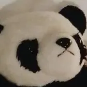 ｐａｎｔａの画像