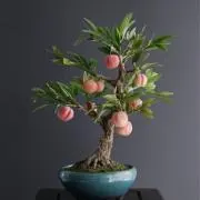 lの画像