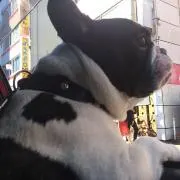 みやさんの画像