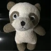 ネネ