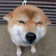 ドラゴニックスープパスタの画像