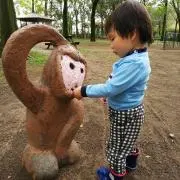 タカ