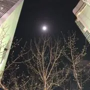 ジュラエースの画像