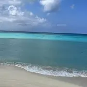 なかむら