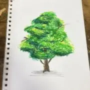 ぽんぽん侍の画像