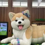 おさむの画像
