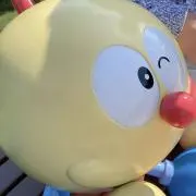 コロの画像