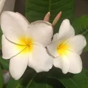 ◡̈⃝︎即購入×必ずコメント