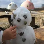 harutomato
