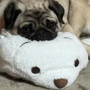 むつ