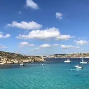 キラキラひかるの画像