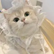 あいの画像
