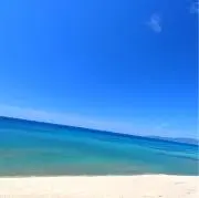 なぎの画像