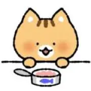 みかんねこの画像