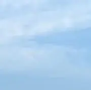 みちの画像